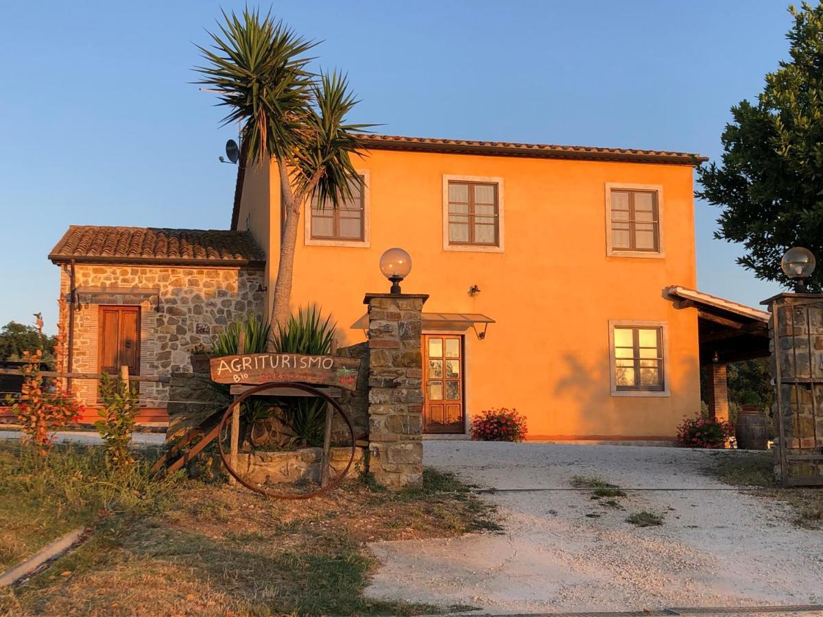 Agriturismo Il Saragiolo Montemerano Exterior photo